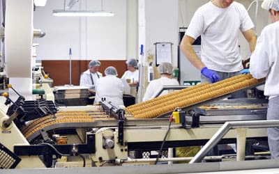 Food Industry